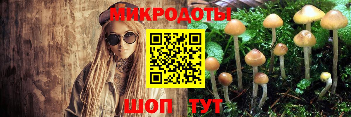 Добрянка  Галлюциногенные грибы Cubensis  Вход с VPN  Псилоцибиновые грибы мицелий 